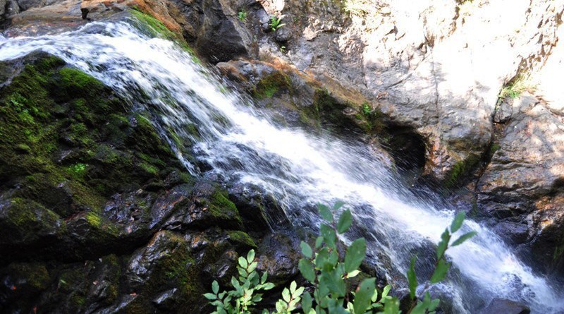 _DSC0389.JPG