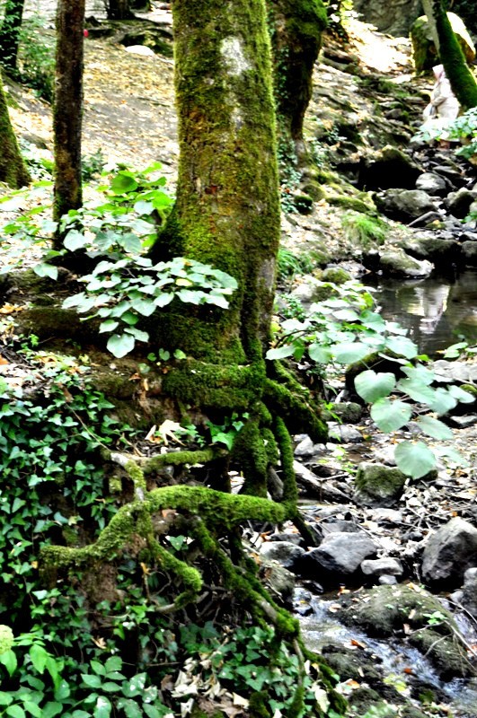_DSC0448.JPG