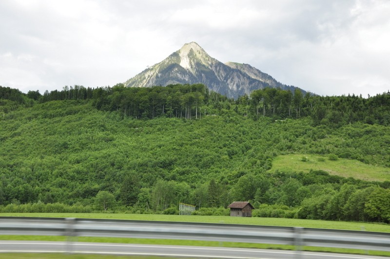 _DSC0505.JPG