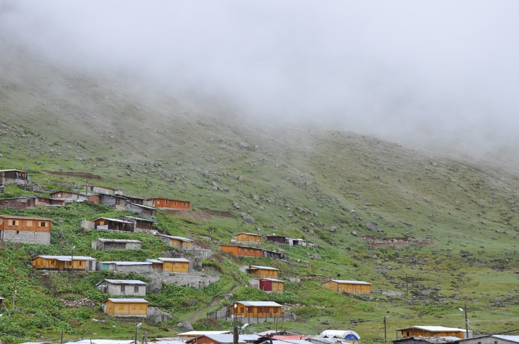 _DSC0856.JPG