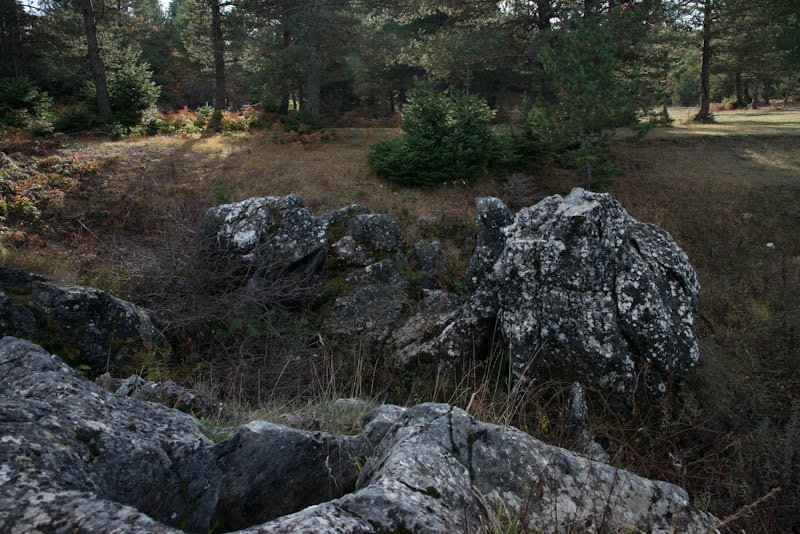 _DSC2368.jpg