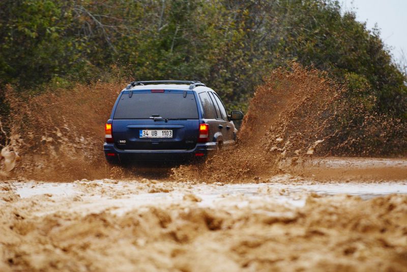 _DSC3123.jpg