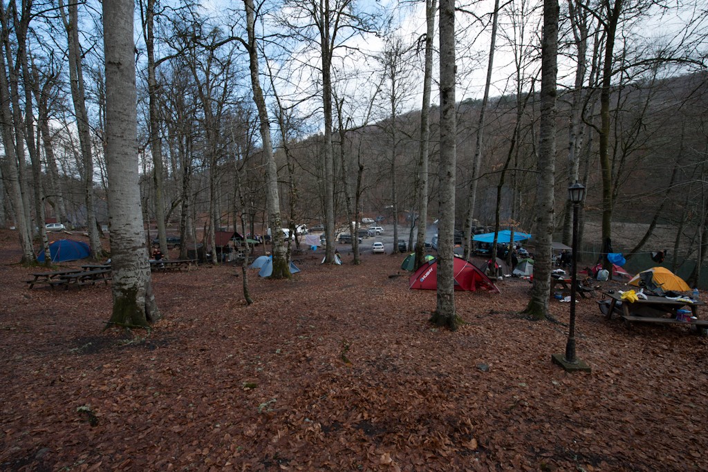 _DSC8375.jpg