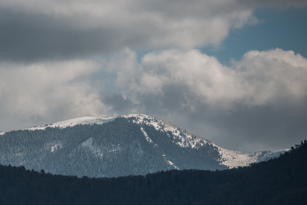 _DSC8401.jpg