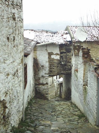 _irince_021.jpg