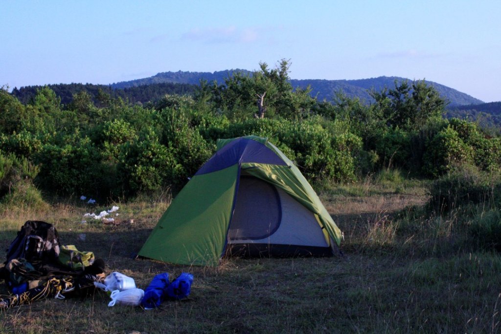 _MG_0509 (Custom).JPG