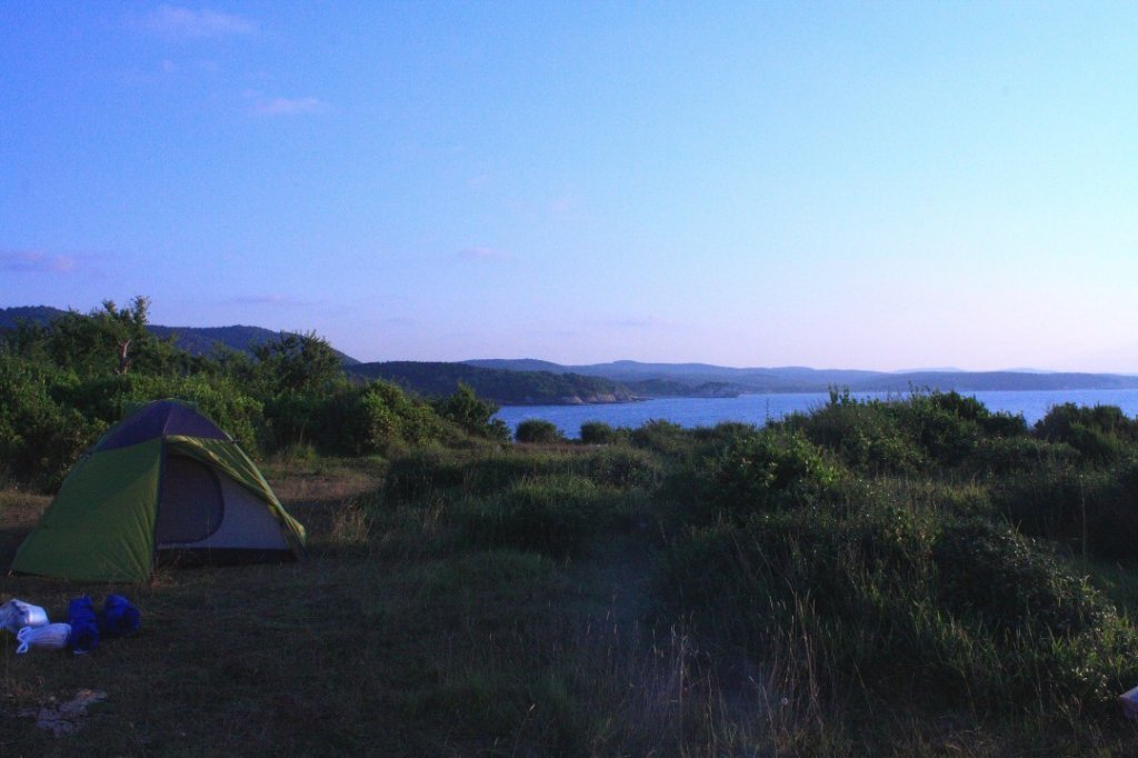 _MG_0510 (Custom).JPG