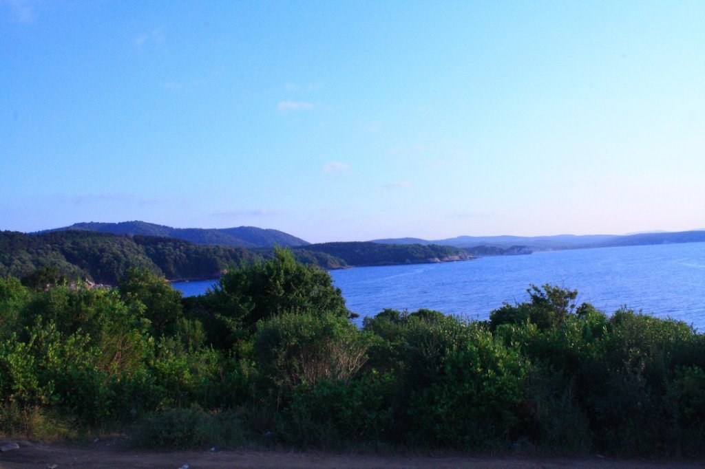 _MG_0518 (Custom).JPG