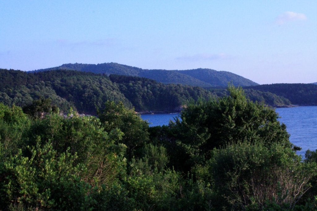 _MG_0522 (Custom).JPG