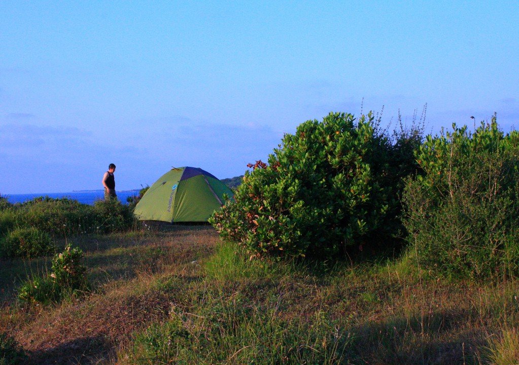 _MG_0524 (Custom).JPG