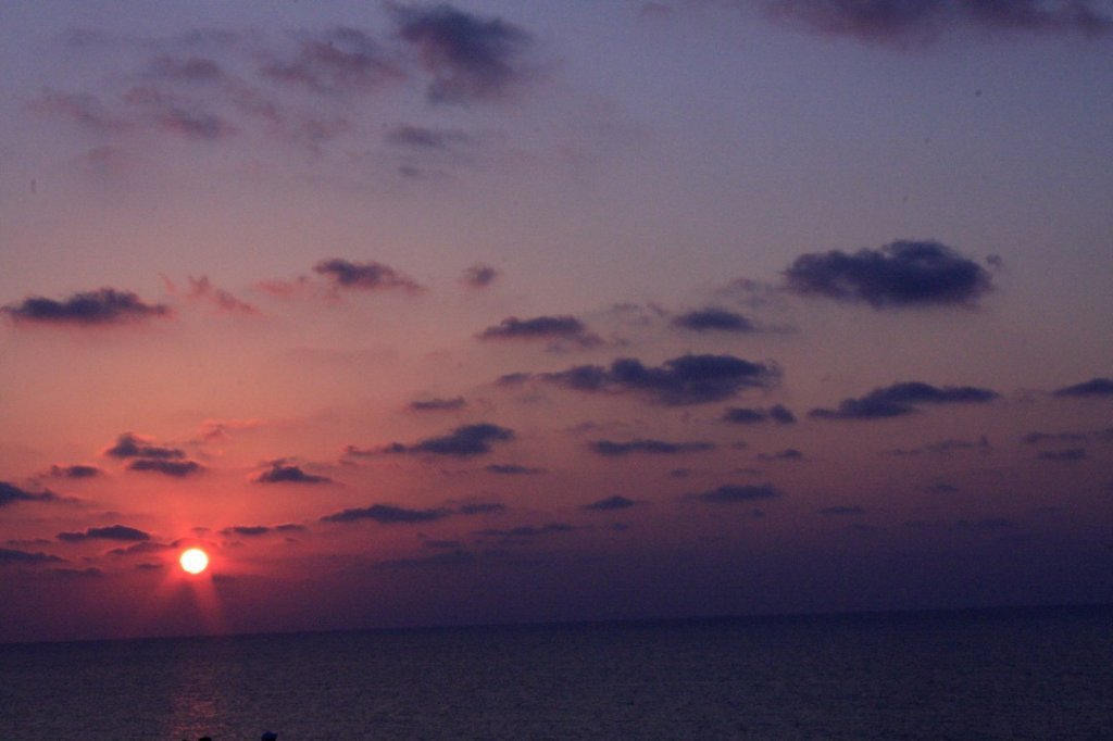 _MG_0544 (Custom).JPG