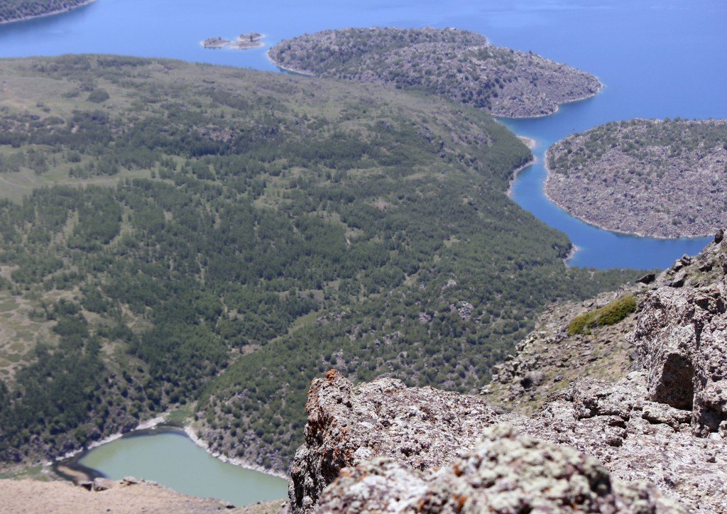 _MG_2802.JPG