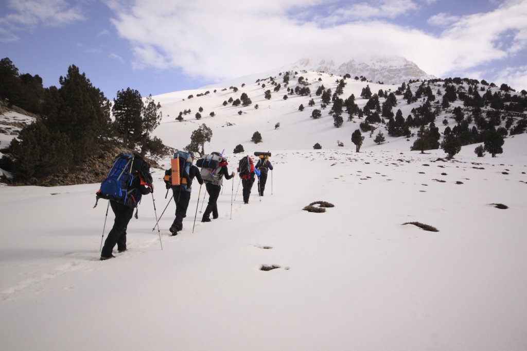 _MG_4559.JPG