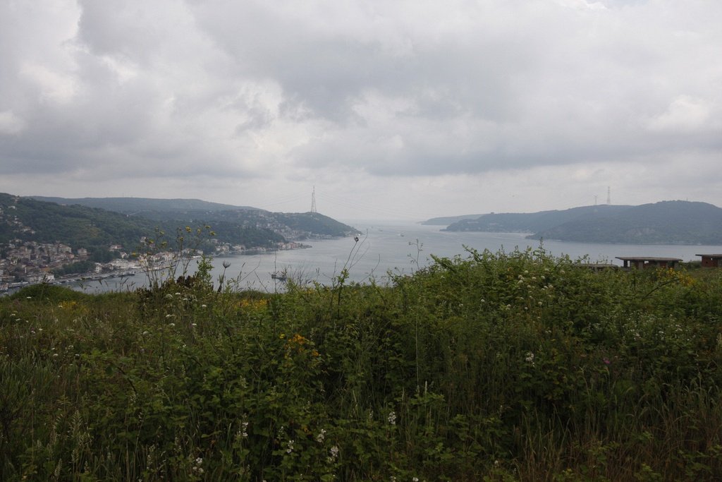 _MG_5077.jpg