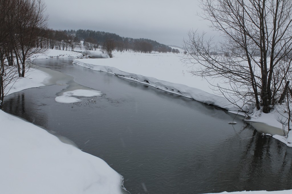 _MG_7053.JPG