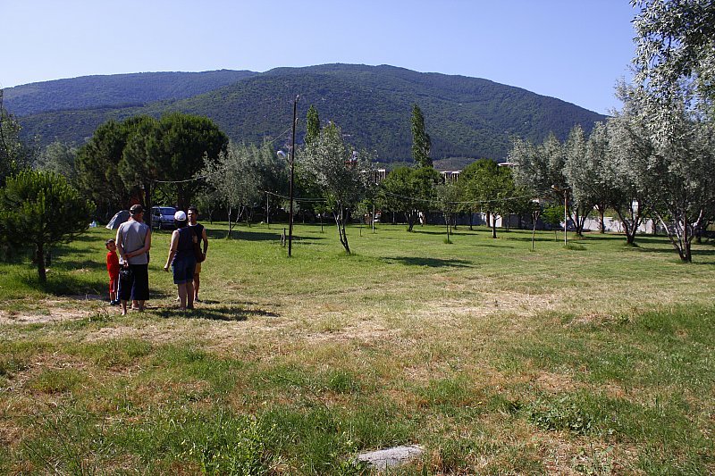 _MG_8355.jpg