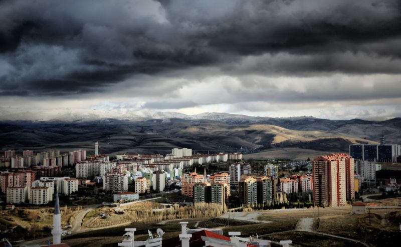 _MG_8776.jpg