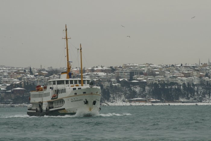 _MG_9765.jpg