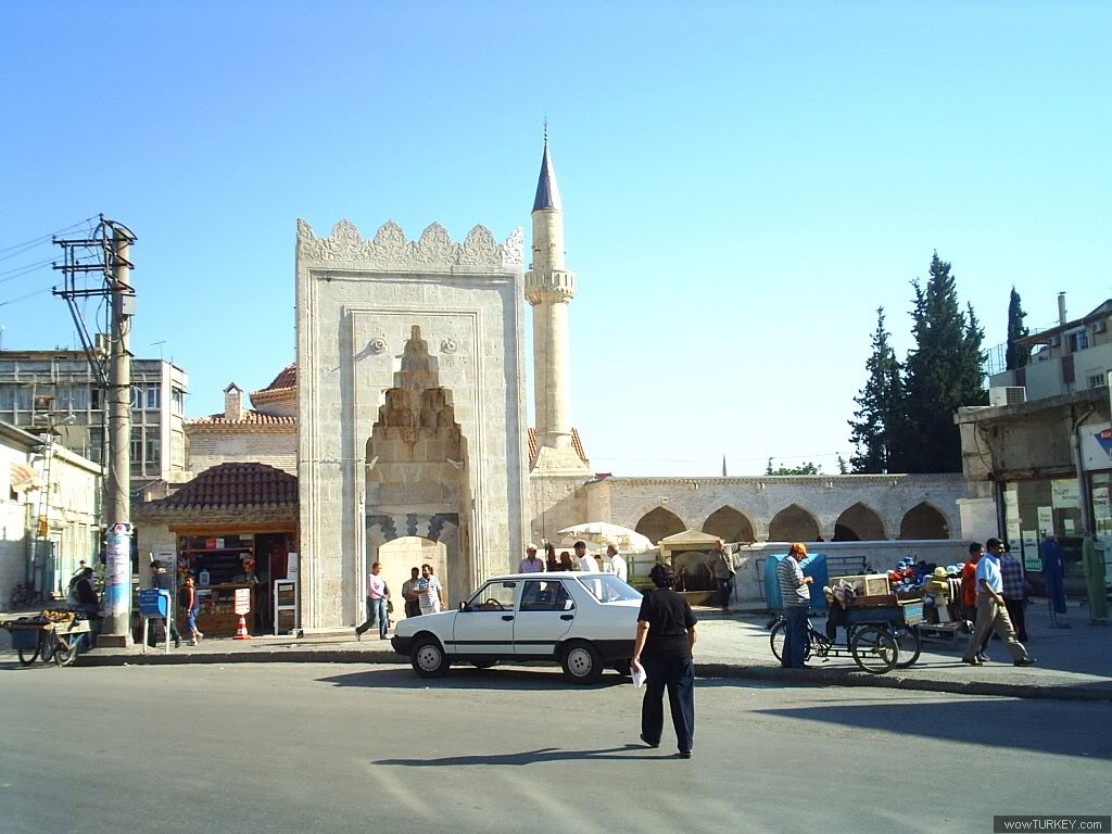 a-yagcamii.jpg