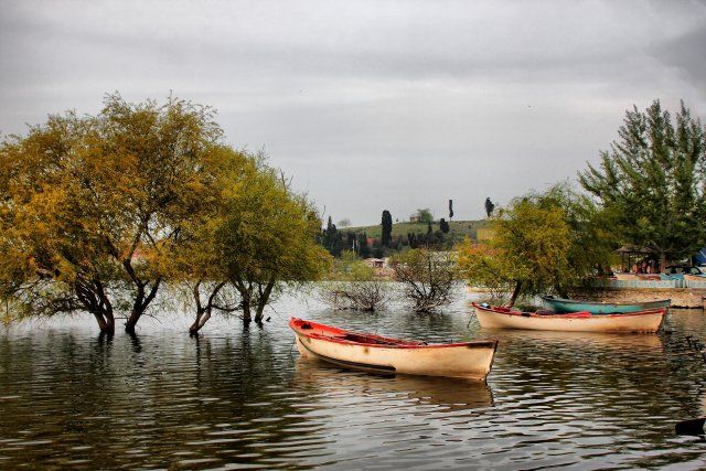 AÃƒÂƒÃ‚Â„ÃƒÂ‚Ã‚ÂŸaÃƒÂƒÃ‚ÂƒÃƒÂ‚Ã‚Â§lar arasÃƒÂƒÃ‚Â„ÃƒÂ‚Ã‚Â±nda.jpg
