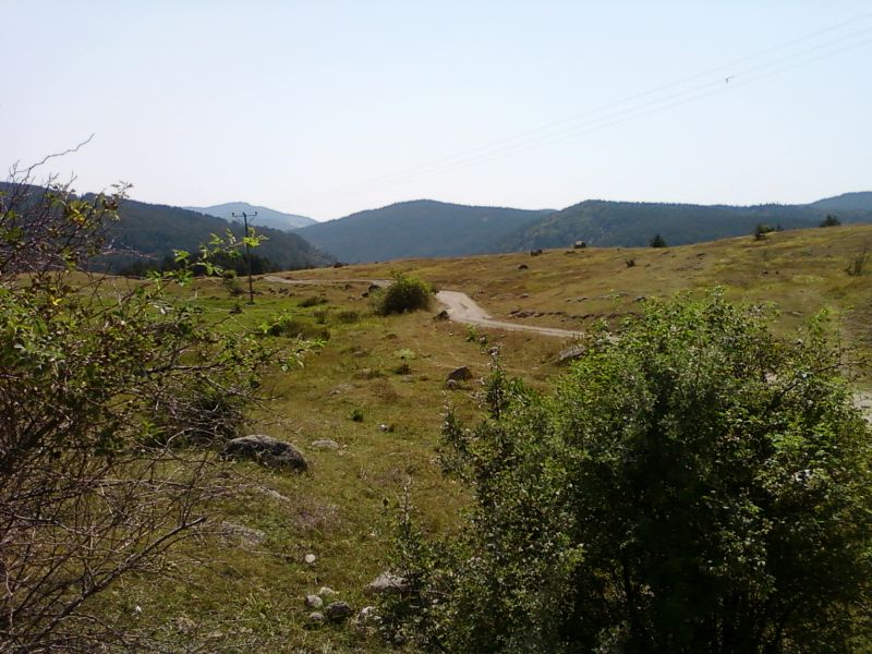 AÃƒÂƒÃ‚Â„ÃƒÂ‚Ã‚ÂžUSTOS 2010-0011.jpg