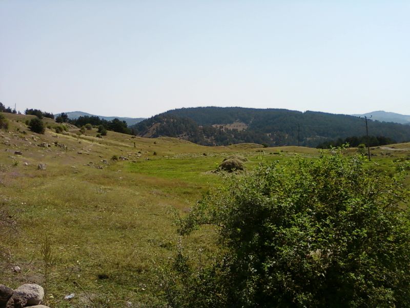 AÃƒÂƒÃ‚Â„ÃƒÂ‚Ã‚ÂžUSTOS 2010-0012.jpg