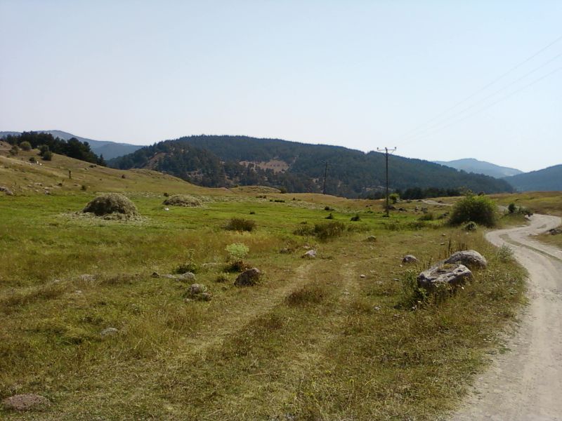 AÃƒÂƒÃ‚Â„ÃƒÂ‚Ã‚ÂžUSTOS 2010-0013.jpg