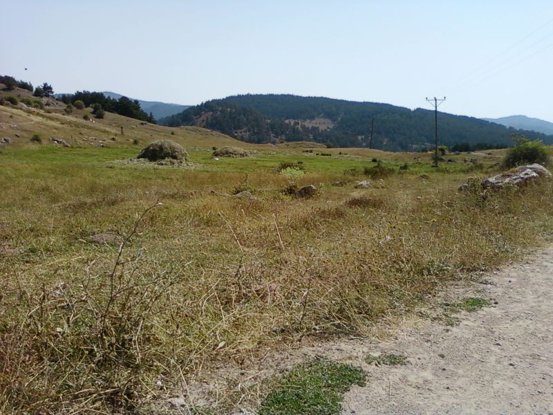 AÃƒÂƒÃ‚Â„ÃƒÂ‚Ã‚ÂžUSTOS 2010-0014.jpg