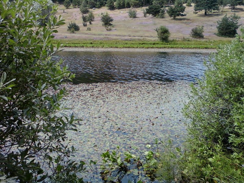 AÃƒÂƒÃ‚Â„ÃƒÂ‚Ã‚ÂžUSTOS 2010-0016.jpg