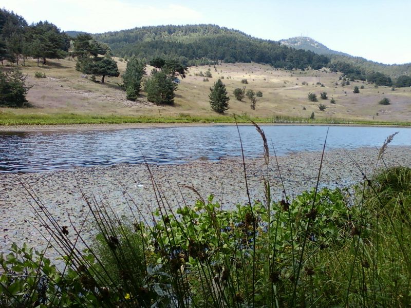 AÃƒÂƒÃ‚Â„ÃƒÂ‚Ã‚ÂžUSTOS 2010-0017.jpg