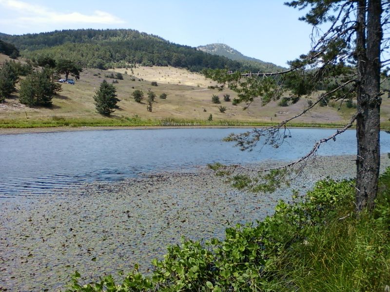 AÃƒÂƒÃ‚Â„ÃƒÂ‚Ã‚ÂžUSTOS 2010-0018.jpg