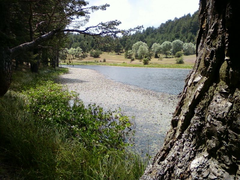 AÃƒÂƒÃ‚Â„ÃƒÂ‚Ã‚ÂžUSTOS 2010-0020.jpg