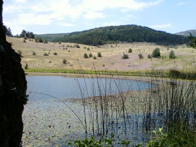 AÃƒÂƒÃ‚Â„ÃƒÂ‚Ã‚ÂžUSTOS 2010-0021.jpg