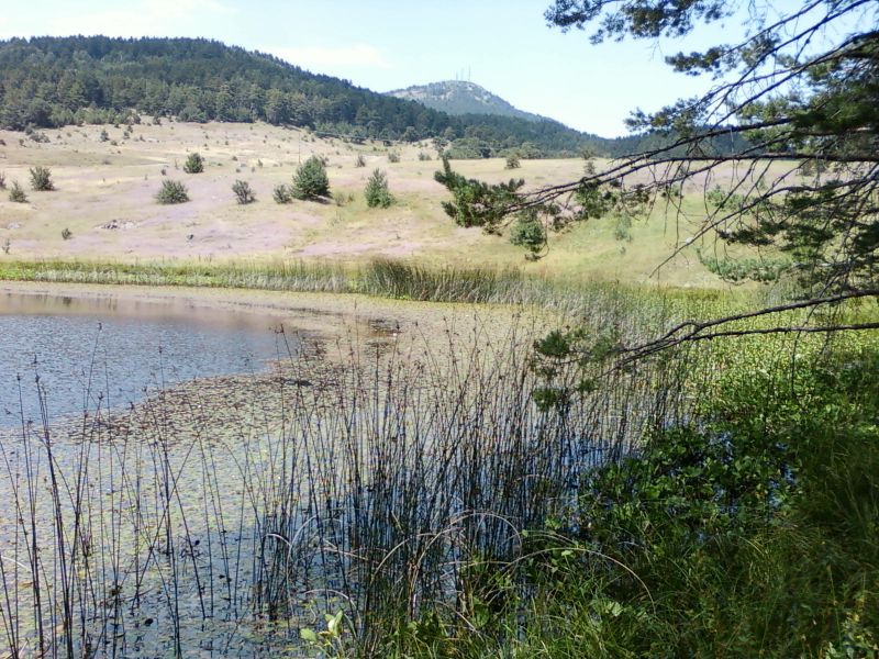 AÃƒÂƒÃ‚Â„ÃƒÂ‚Ã‚ÂžUSTOS 2010-0022.jpg