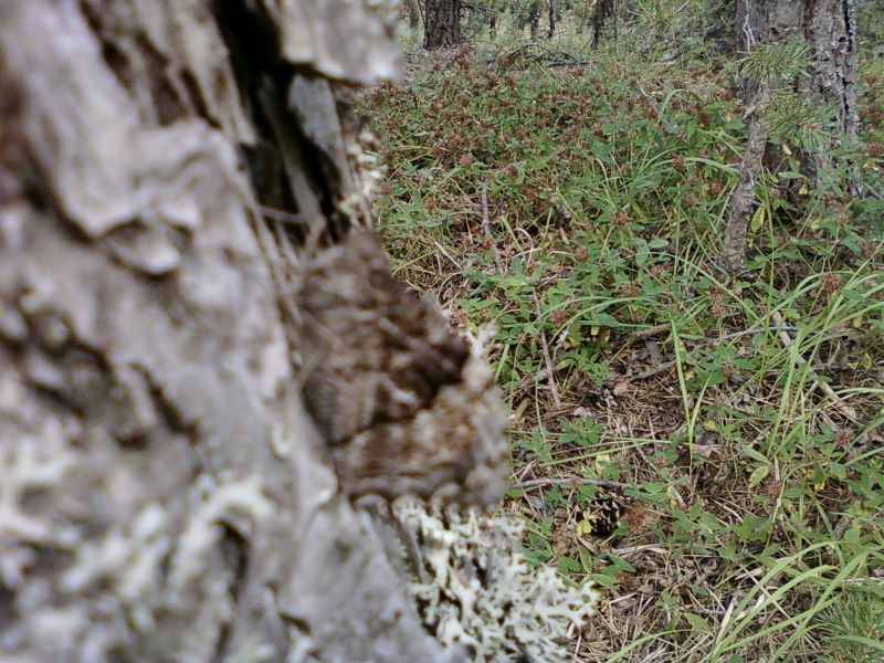 AÃƒÂƒÃ‚Â„ÃƒÂ‚Ã‚ÂžUSTOS 2010-0024.jpg
