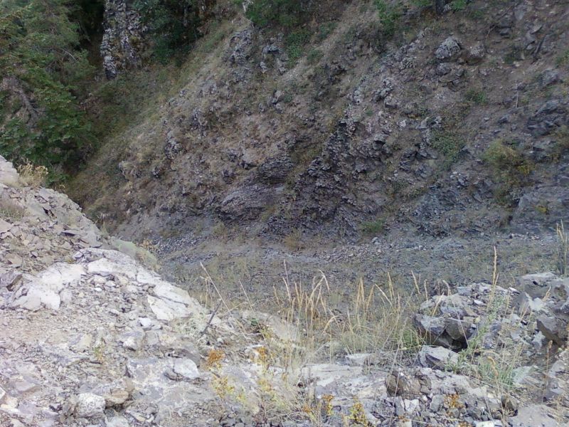 AÃƒÂƒÃ‚Â„ÃƒÂ‚Ã‚ÂžUSTOS 2010-0038.jpg