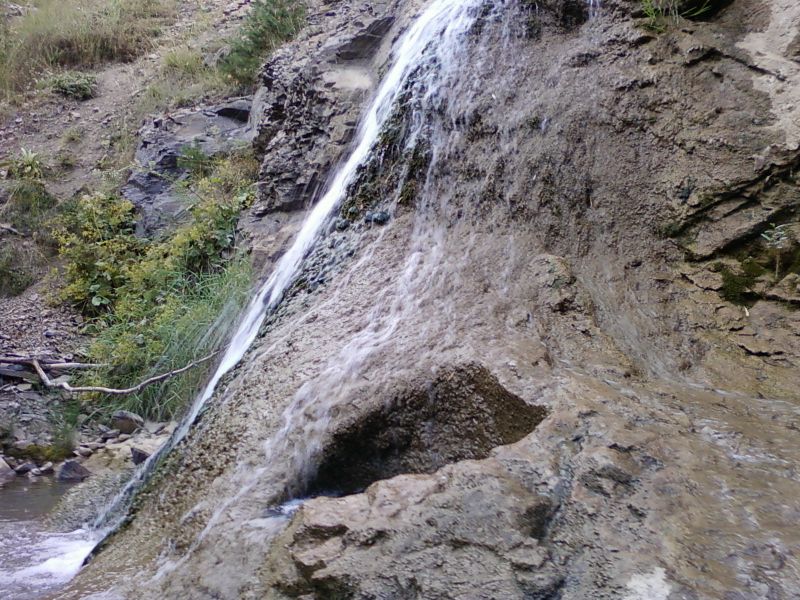 AÃƒÂƒÃ‚Â„ÃƒÂ‚Ã‚ÂžUSTOS 2010-0042.jpg