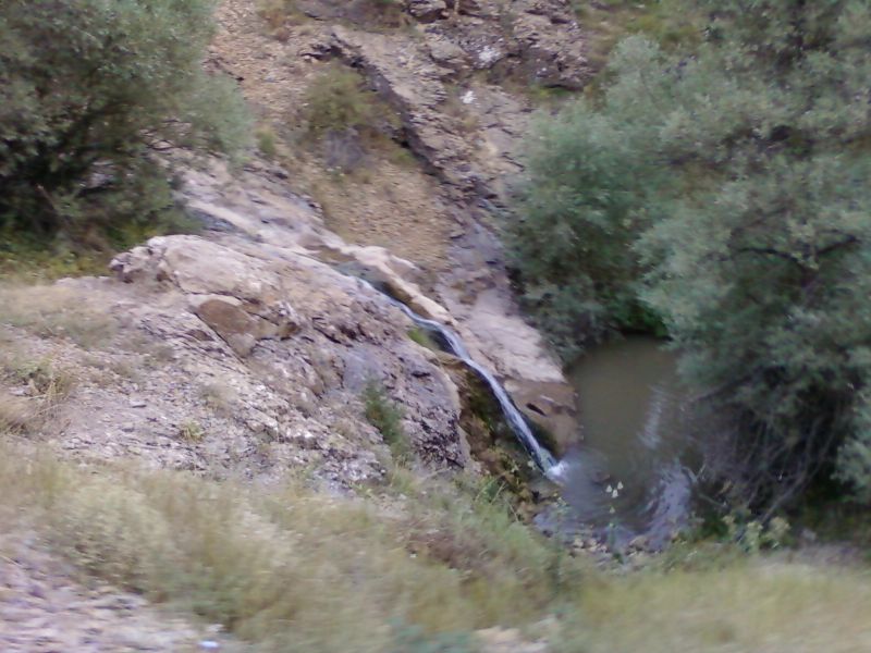 AÃƒÂƒÃ‚Â„ÃƒÂ‚Ã‚ÂžUSTOS 2010-0047.jpg