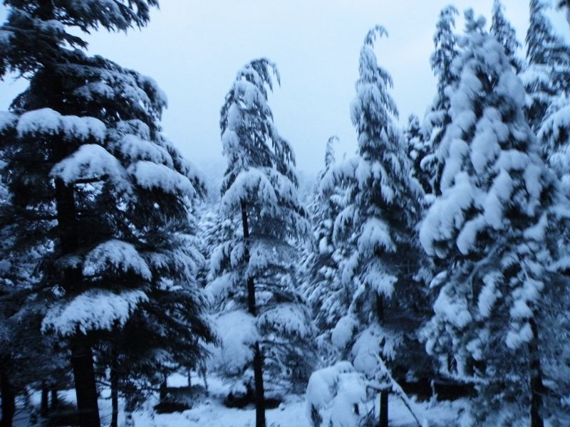 adana offroad  1 121.jpg