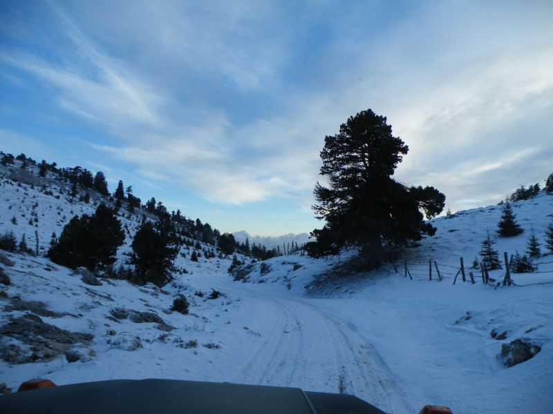 adana offroad  1 277.jpg