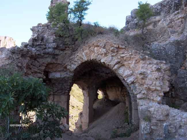 adi beya.jpg