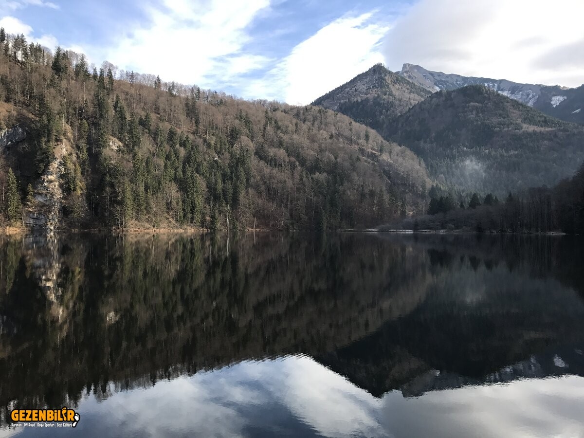 AF28E3D7-54AB-4871-8401-38B22637E850.jpeg