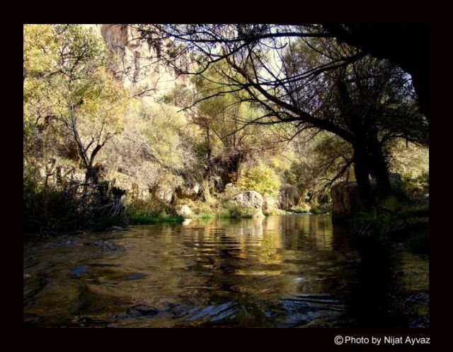 ÃƒÂƒÃ‚Â‚ÃƒÂ‚Ã‚Â©Photo by Nijat Ayvaz (4).jpg