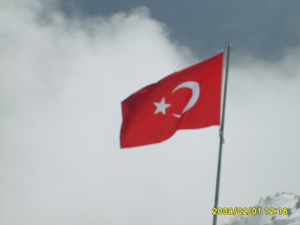 MO Gezi 24