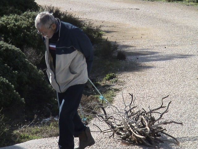 ÃƒÂƒÃ‚Â„ÃƒÂ‚Ã‚Â°nsan manzarasÃƒÂƒÃ‚Â„ÃƒÂ‚Ã‚Â± yorumsuz.jpg