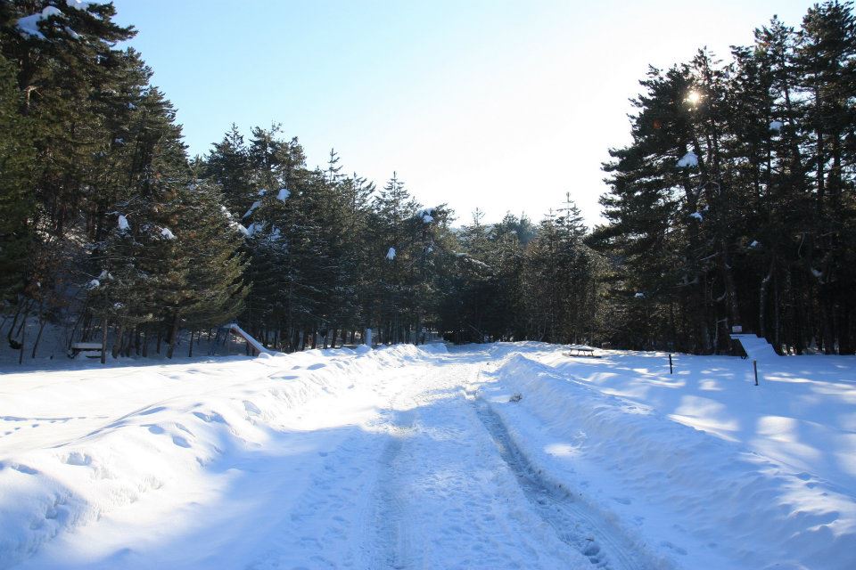 ÃƒÂƒÃ‚Â…ÃƒÂ‚Ã‚ÂŸelale.kamp.yolu.jpg