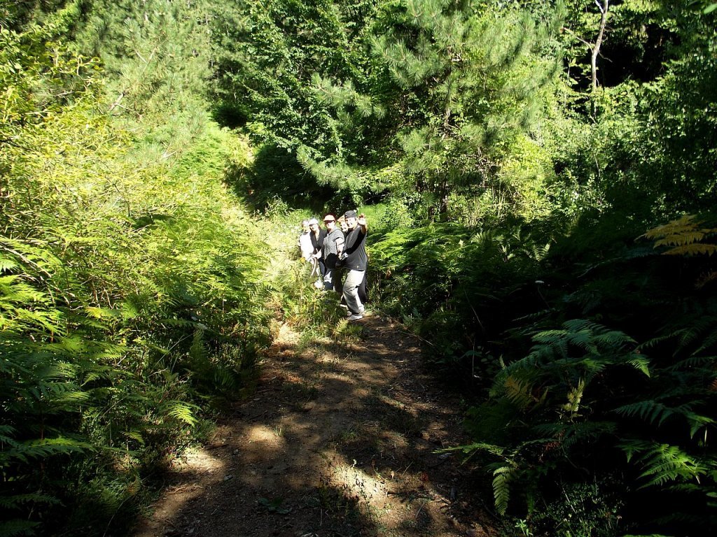 ÃƒÂƒÃ‚Â…ÃƒÂ‚Ã‚Âželaleye yÃƒÂƒÃ‚ÂƒÃƒÂ‚Ã‚Â¼rÃƒÂƒÃ‚ÂƒÃƒÂ‚Ã‚Â¼yÃƒÂƒÃ‚ÂƒÃƒÂ‚Ã‚Â¼ÃƒÂƒÃ‚Â…ÃƒÂ‚Ã‚ÂŸ11.jpg