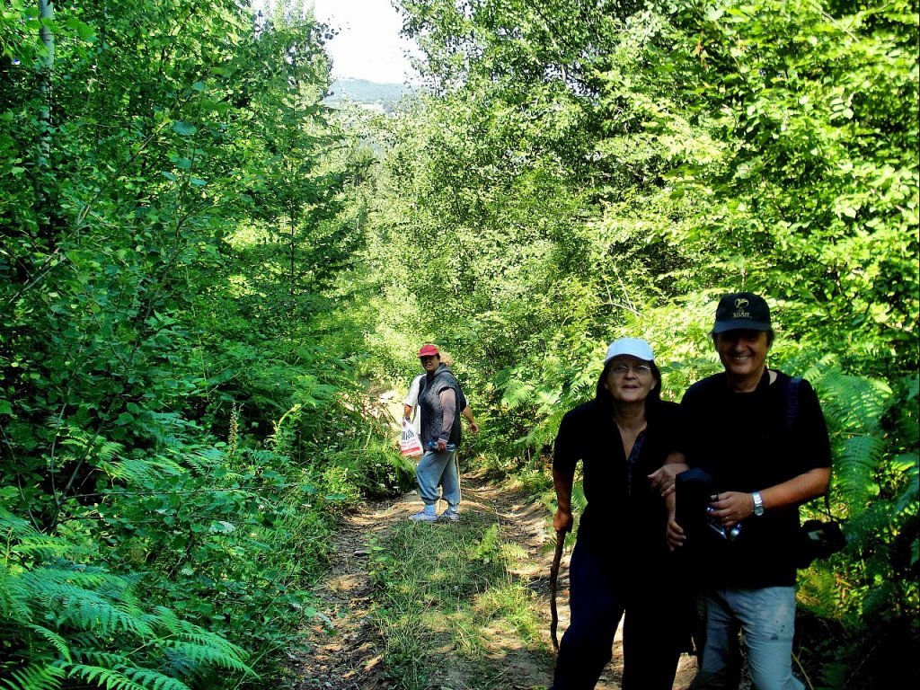 ÃƒÂƒÃ‚Â…ÃƒÂ‚Ã‚Âželaleye yÃƒÂƒÃ‚ÂƒÃƒÂ‚Ã‚Â¼rÃƒÂƒÃ‚ÂƒÃƒÂ‚Ã‚Â¼yÃƒÂƒÃ‚ÂƒÃƒÂ‚Ã‚Â¼ÃƒÂƒÃ‚Â…ÃƒÂ‚Ã‚ÂŸ7.jpg