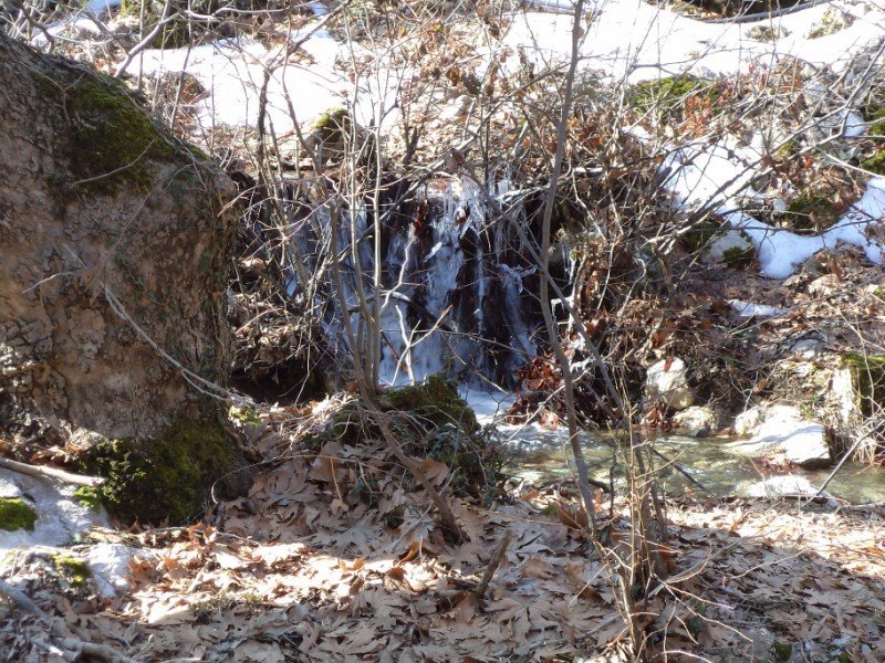 ÃƒÂƒÃ‚Â…ÃƒÂ‚Ã‚ÂžUBAT 12.2012 (14) [800x600].JPG