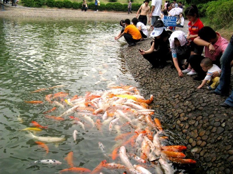 ÃƒÂƒÃ‚ÂƒÃƒÂ‚Ã‚Â‡ÃƒÂƒÃ‚Â„ÃƒÂ‚Ã‚Â°N 083 (Medium).jpg